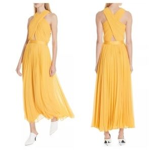 joie elenita maxi dress